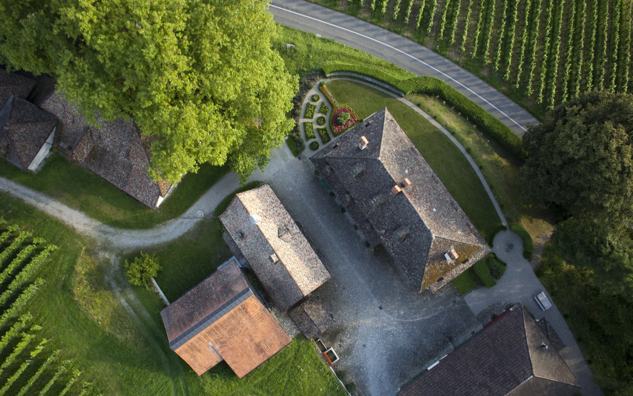 Acht Generationen Weinbau, sorgfältig ins Web gebracht