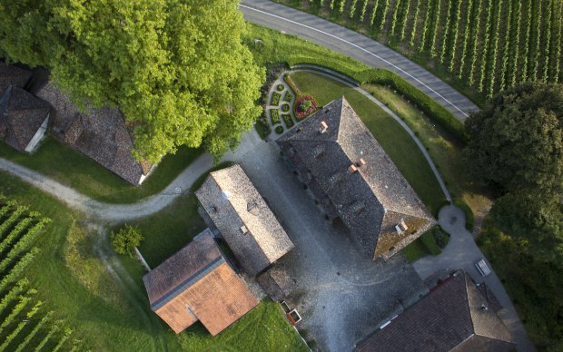 Acht Generationen Weinbau, sorgfältig ins Web gebracht