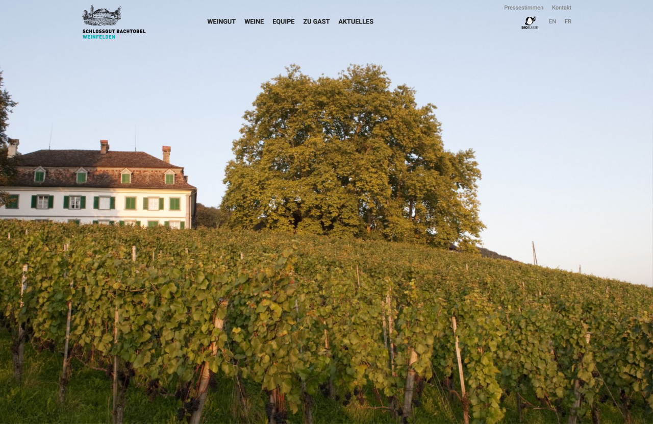 Acht Generationen Weinbau, sorgfältig ins Web gebracht