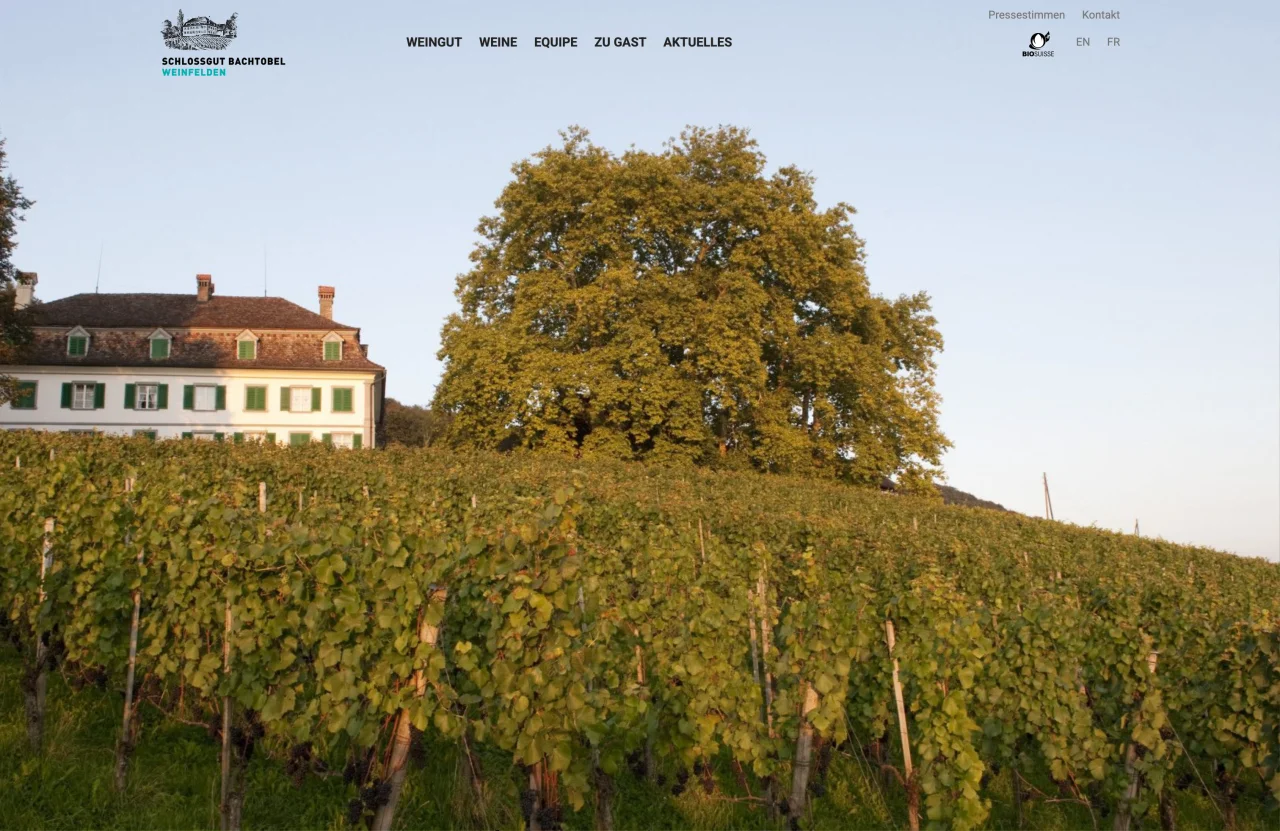 Acht Generationen Weinbau, sorgfältig ins Web gebracht